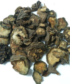 Peyote Buttons Online Kaufen