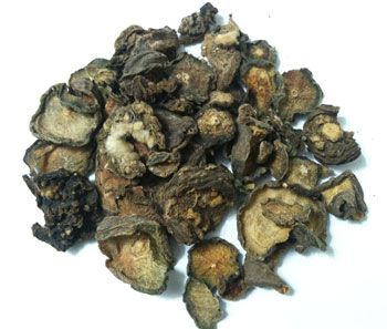 Peyote Buttons Online Kaufen