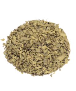 Salvia Extract 120x kaufen