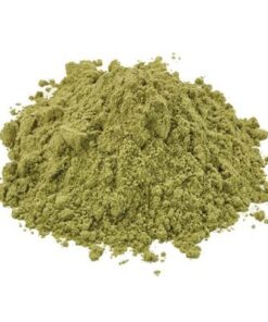 San Pedro Kactus Kaufen